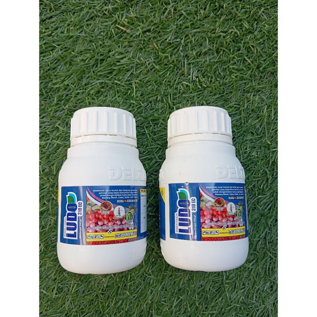 Insektisida LUDO 310EC 100ML