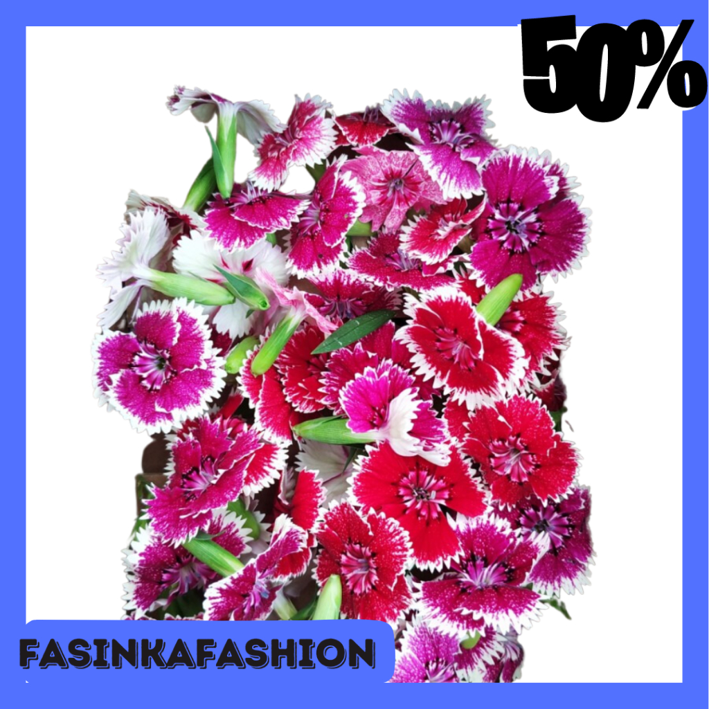 

EDIBLE FLOWER DIANTHUS 20 PCS TERBARU // BUNGA UNTUK HIASAN DAN BISA DIMAKAN