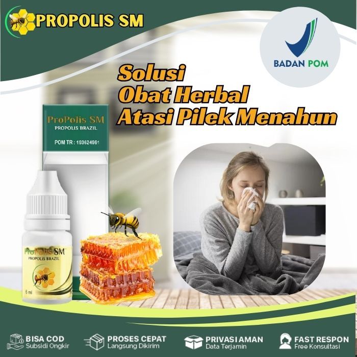 Obat Pilek Menahun Untuk Anak & Dewasa Sinus Hidung Tersumbat Menahun Ingus Bau Sinusitis Propolis S