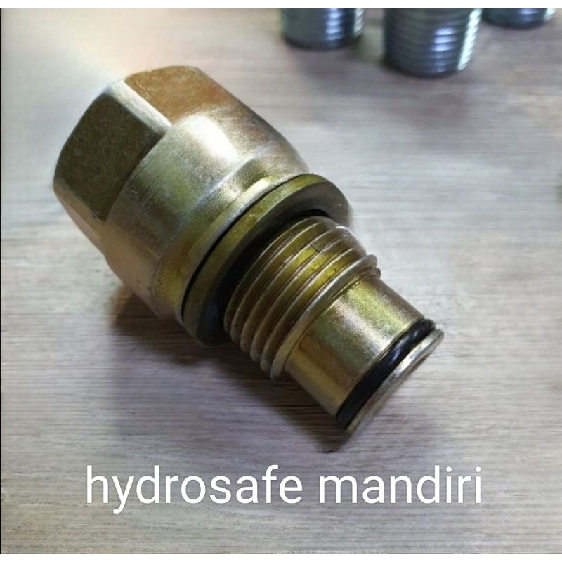 Carryover DP 40 / DP 80 / DP 120 HPCO NUCLEO