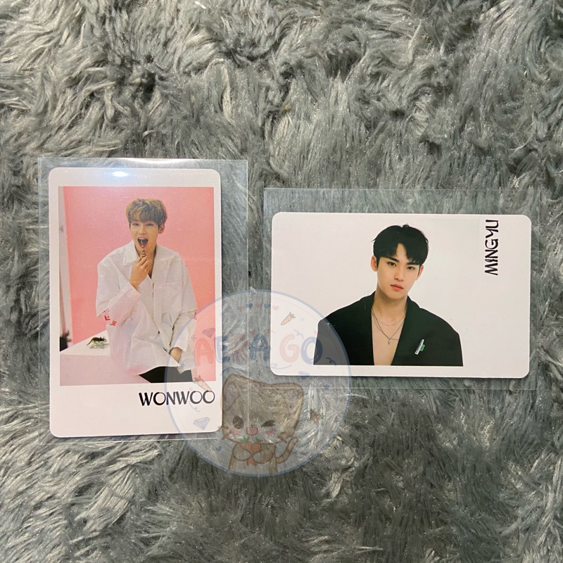 PC Mingyu Wonwoo Powercircles