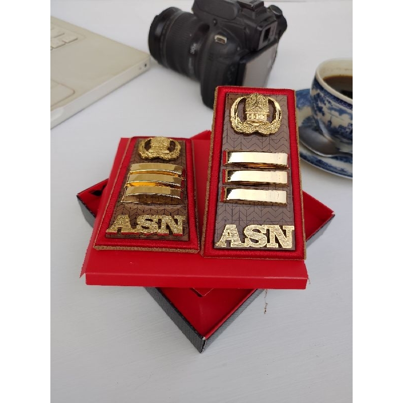 PANGKAT ASN KALTARA GOLONGAN 3C