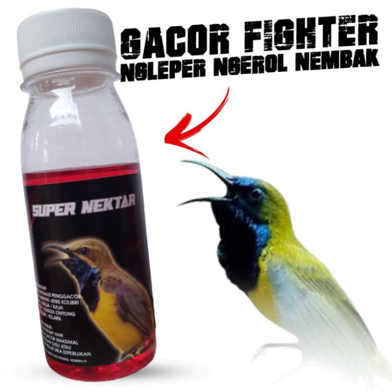 SUPER NEKTAR PAKAN GACOR SOGON KONIN SOTONG RAJA PLECI CUCAK IJO CUCAK ROWO DLL
