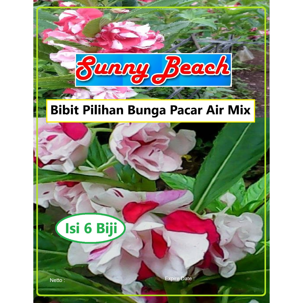 Bibit Pilihan Bunga Pacar Air Mix | Biji Benih Bunga Pacar Air Mix