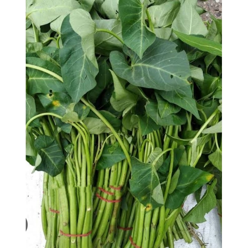

Kangkung Kampung Per Ikat