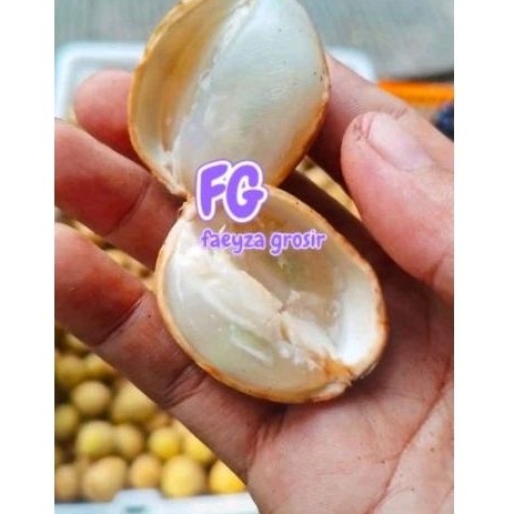 dukuh manis 1kg