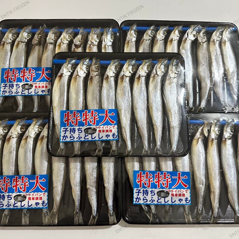 

IKAN SHISAMO 500g wajib ambil store