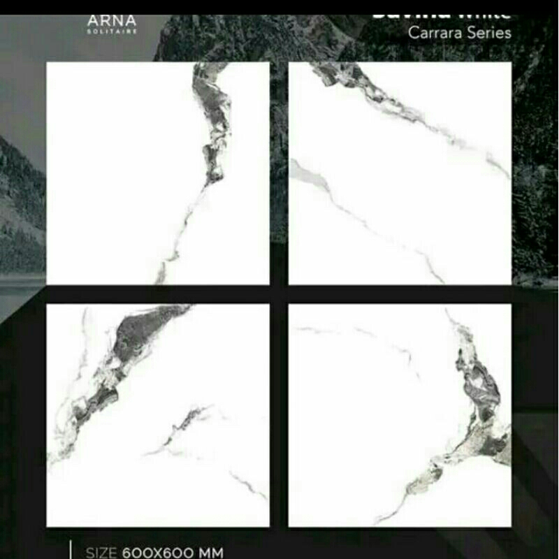 granit lantai 60x60/arna