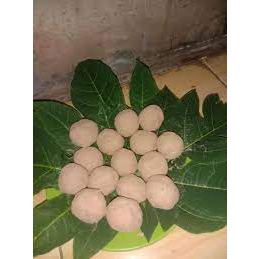 

ampo bulat 20 buah