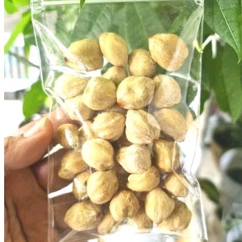 

Kemiri /Keminting /Bumbu Masak/ Rempah Masakan Nusantara 100gr