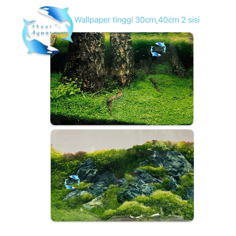 WALLPAPER AQUARIUM 3D TWILIGHT UKURAN 30 CM 40 CM BACKGROUND AQUARIUM