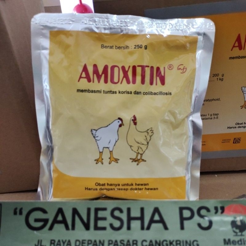 AMOXITIN 250 gram MEDION