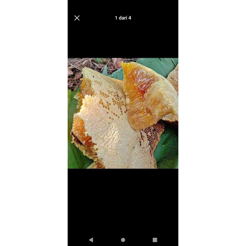 

tersedia Madu Asli Murni.