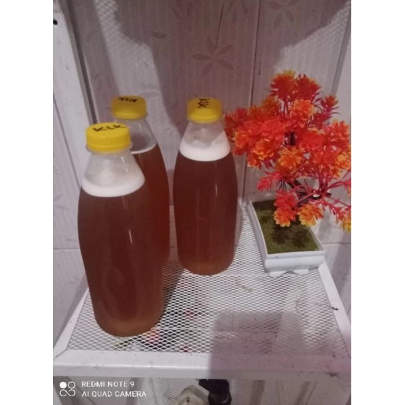 

MADU KELANGKENG