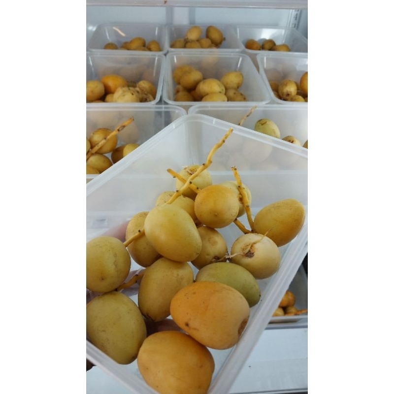 

Kurma Muda Promil Fresh No Frozen 250 gr