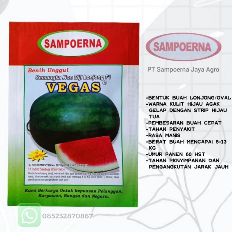 BENIH Semangka Lonjong non biji VEGAS