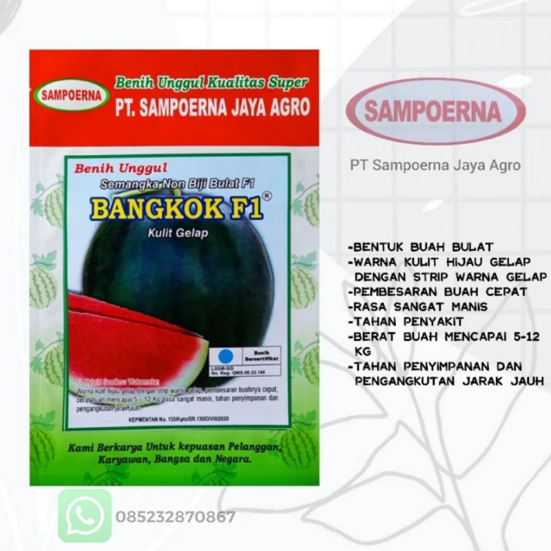 Benih Semangka Non biji Bulat BANGKOK F1 Kulit Gelap (20 gr)