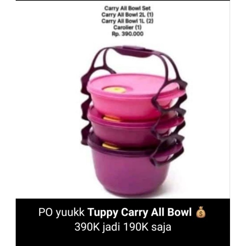 Tupperware - Carry All Bowl