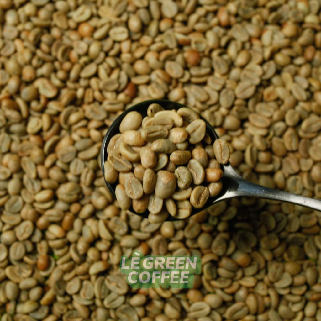 

ARABICA KERINCI NATURAL (Biji Kopi)