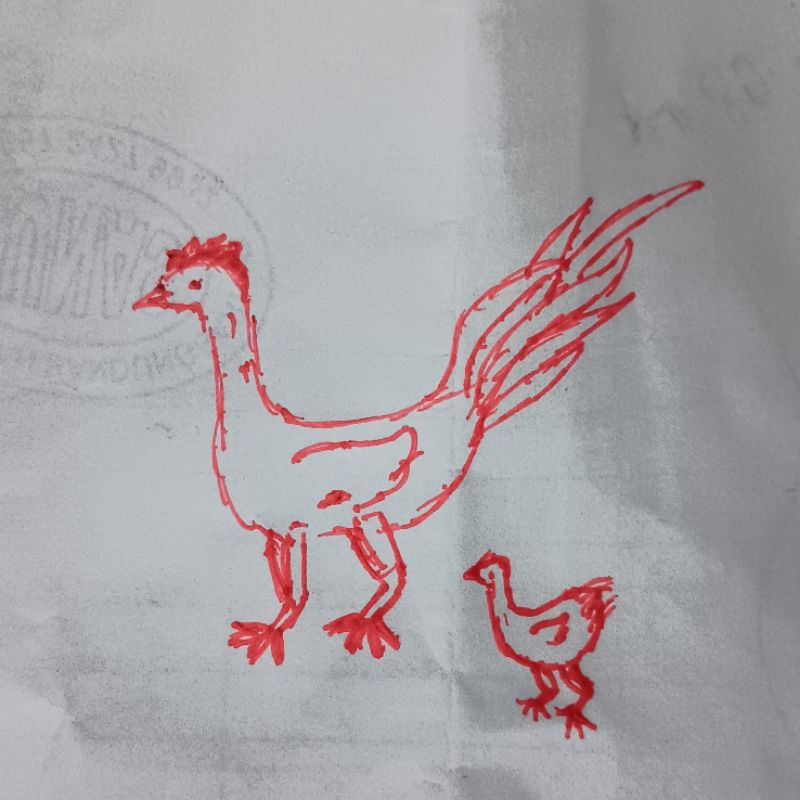 

Gambar Bapak Ayam dan Anak Ayam