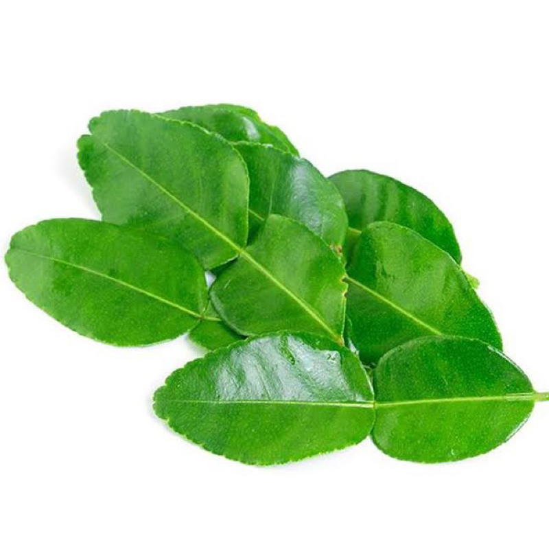

Daun Jeruk Purut/kaffir lime 1kg
