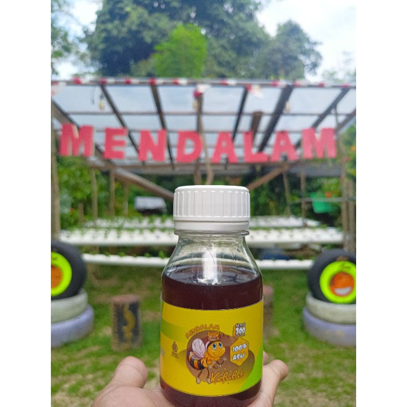 

Mendalam Kelulut Mendalam