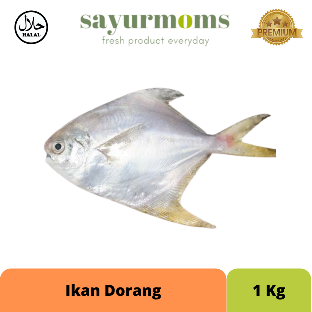 

Ikan Dorang 1Kg