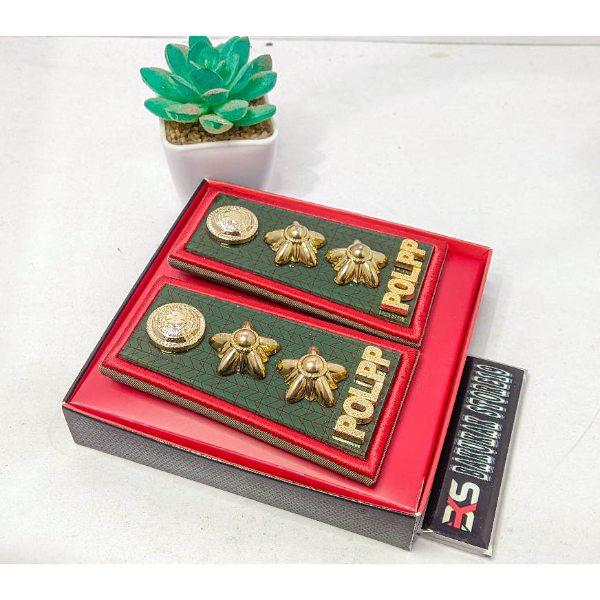 PANGKAT POL PP 4A - PANGKAT SAATPOL PP 4A - PANGKAT POLPP 4A - PANGKAT SATPOL PP 4A - PANGKAT SATPOL