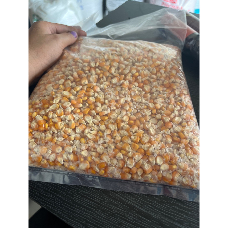 jagung kering pipil kemasan 1 kg