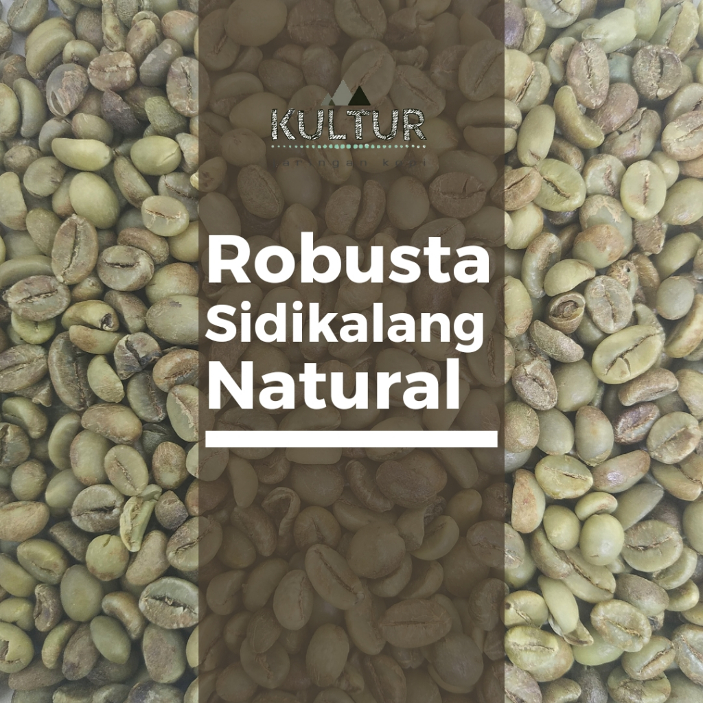 

GREEN BEAN ROBUSTA SIDIKALANG SUMATERA NATURAL BIJI KOPI MENTAH NETTO 500 GR