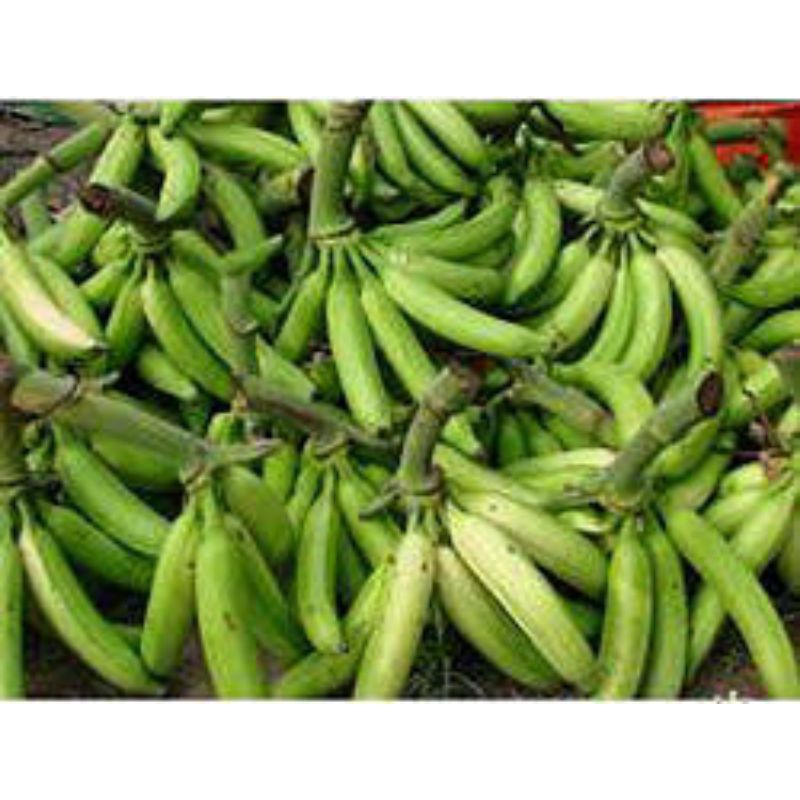 

Pisang Tanduk Muria Mentah / Pisang Byar