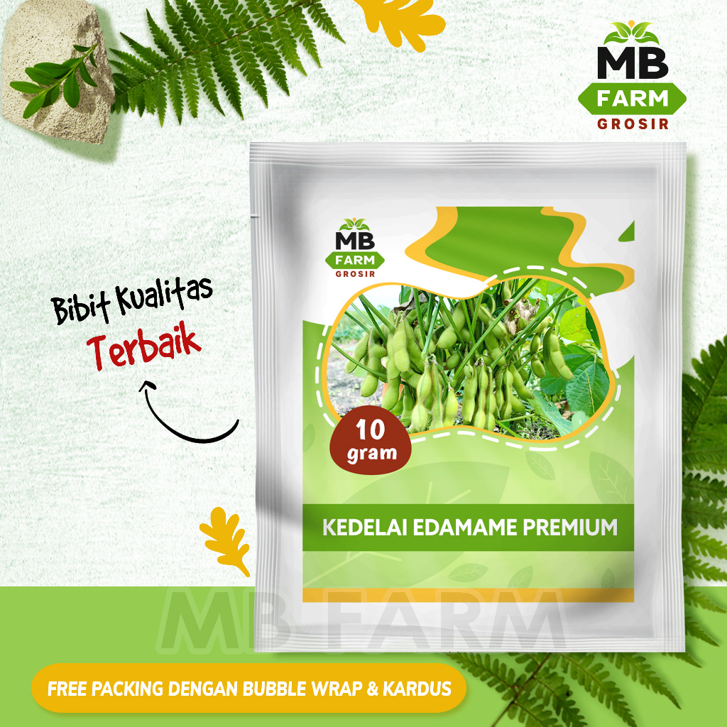 Benih edamame 10 gram / bibit kacang kedelai edamame super MB FARM