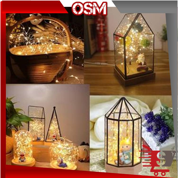 OSM - L5420 Lampu Natal Hias 1M 2M / Lampu Tumblr Kawat Hias Dekorasi Baterai 1m 2m / Lampu Kawat LE