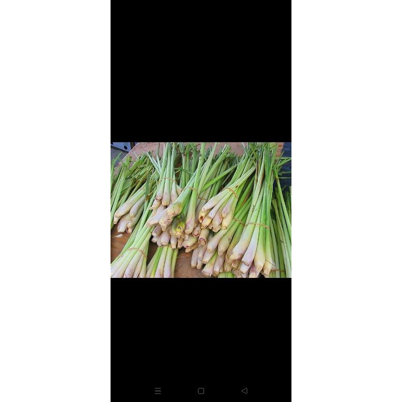 

SEREH DAPUR-250GRAM
