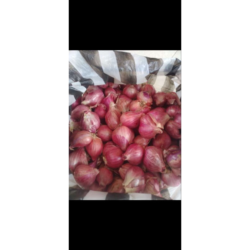 

BAWANG MERAH SUPER