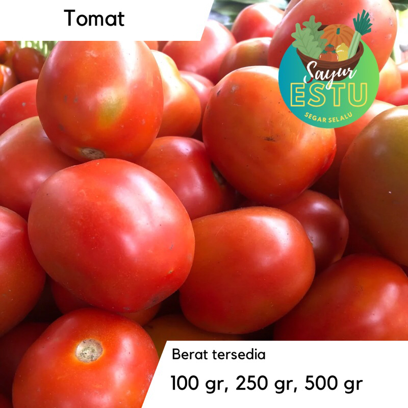 

Tomat Merah [GRATIS ONGKIR]
