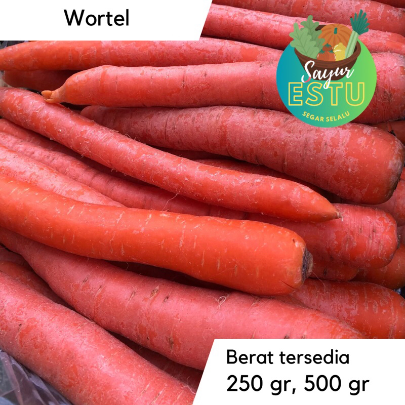 

Wortel LOKAL / IMPORT [GRATIS ONGKIR]