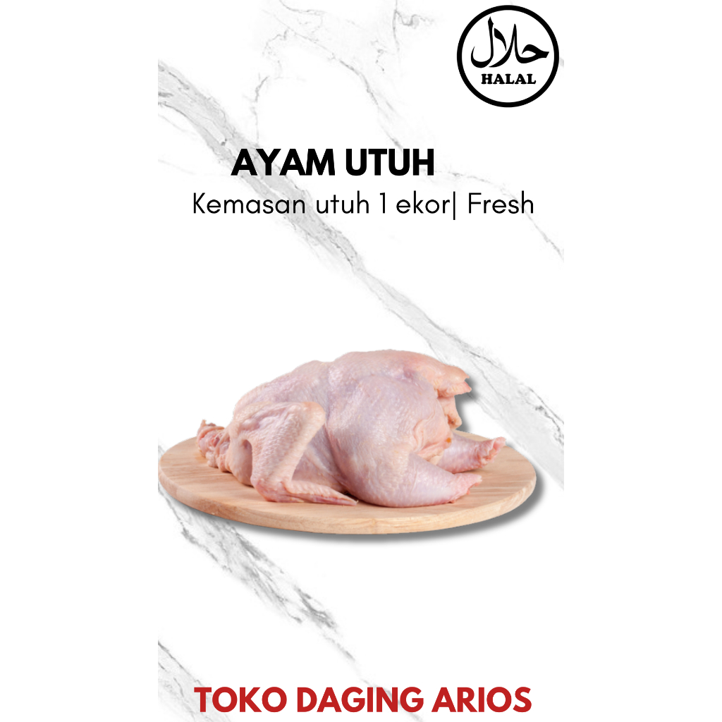 

Ayam Utuh 1 Ekor Segar dan Berkualitas