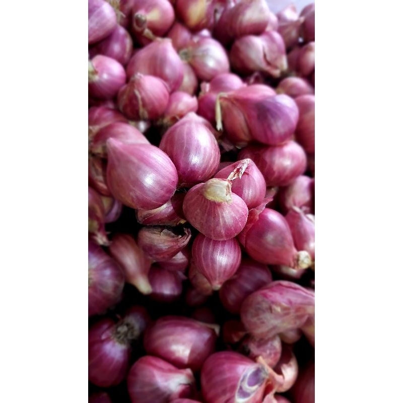 

BAWANG MERAH LOKAL 500GR / 1/2 KG