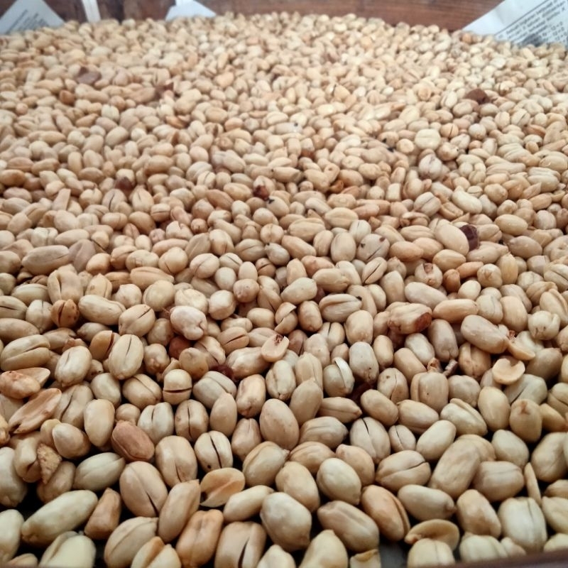 

kacang bawang goreng 500 gram