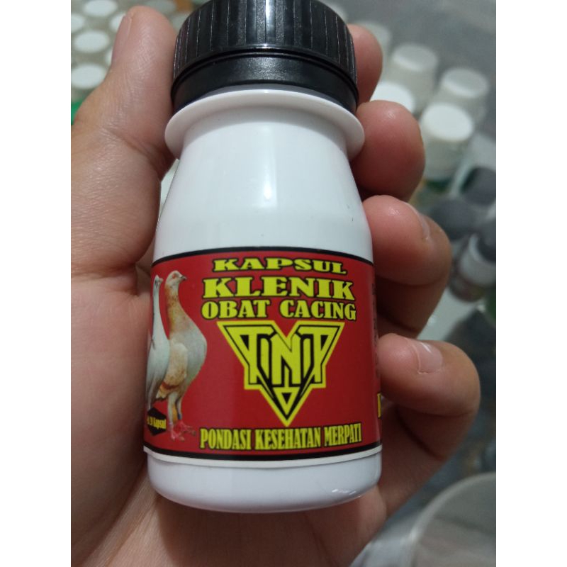 jamu merpati kapsul klenik obat cacing