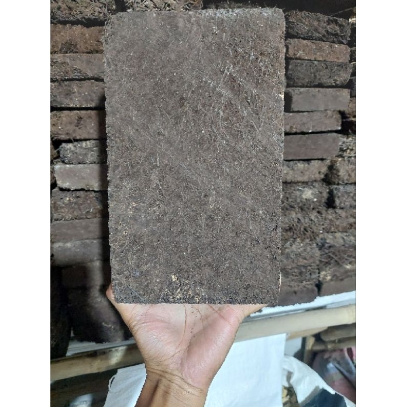 Papan Pakis Lempeng Pakis Media Tanam Anggrek Padat Jumbo