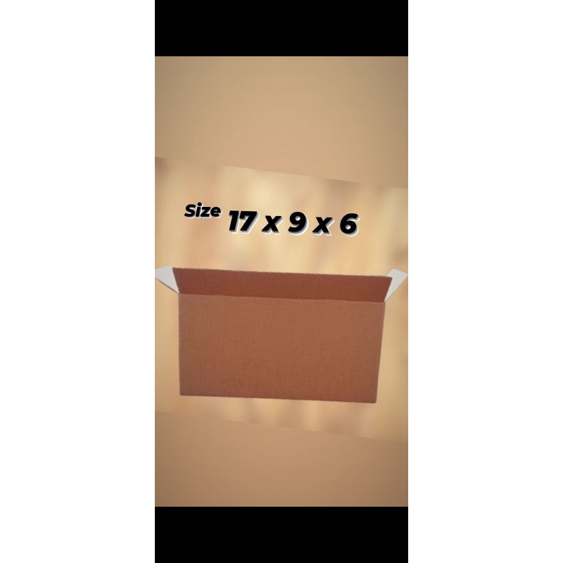 

Dus Box packaging paket/barang uk 17x9x6