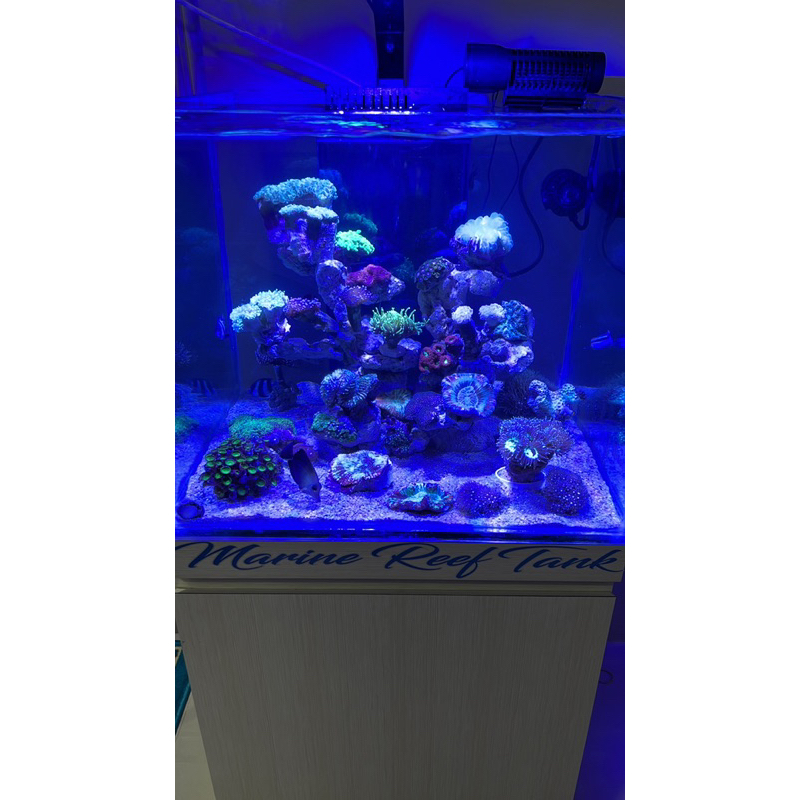 set aquarium sump filter bawah dan meja