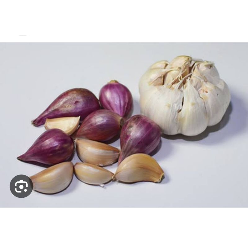 

BAWANG PUTIH , MERAH