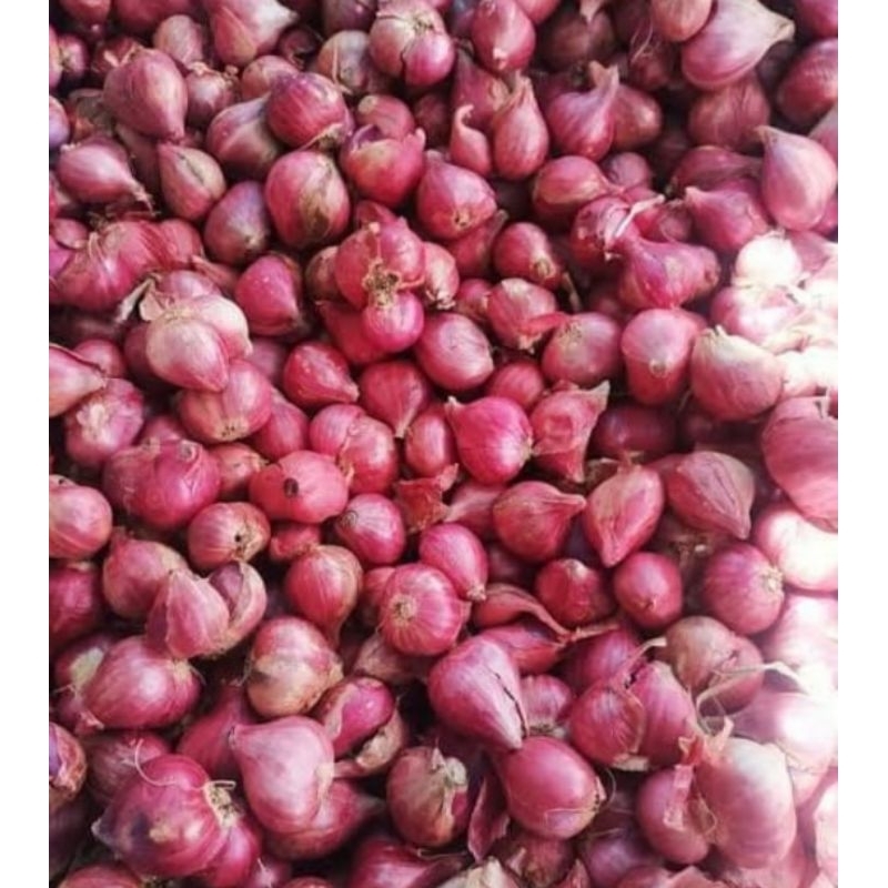 

bawang merah super