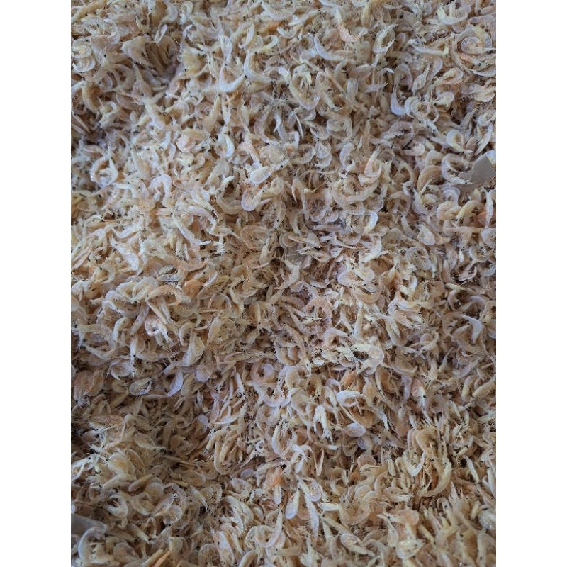 

Ikan Rebon Ciwaru