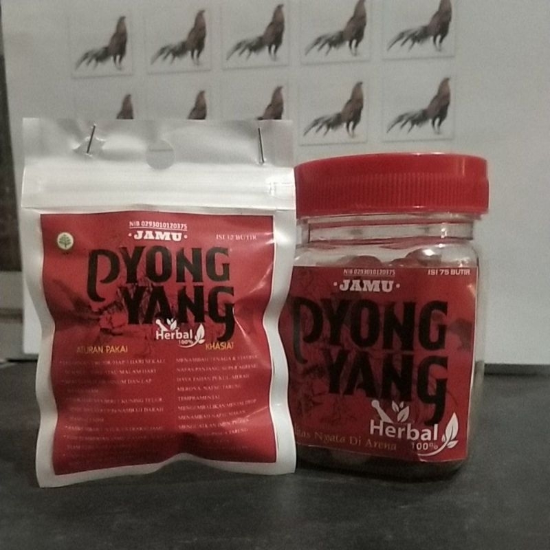 Jamu PYONG YANG ayam 75 butir