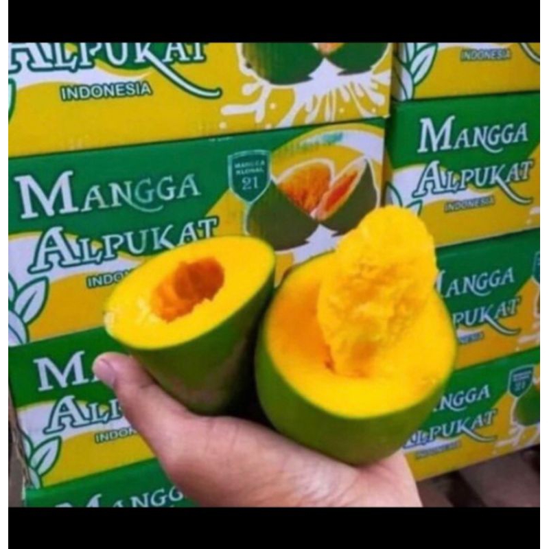 

Mangga Alpukat