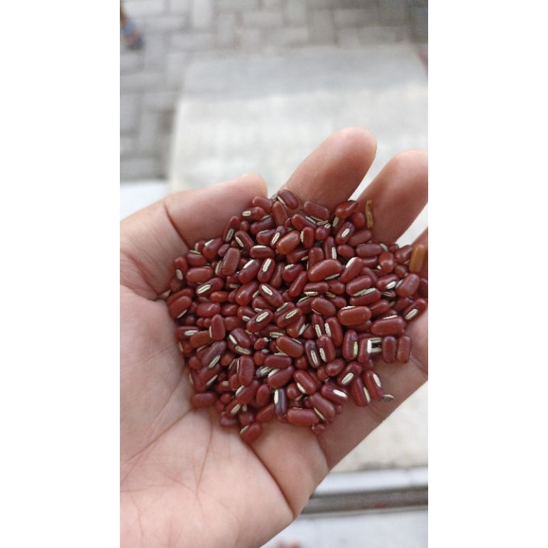 

Kacang merah jogo 1 kg